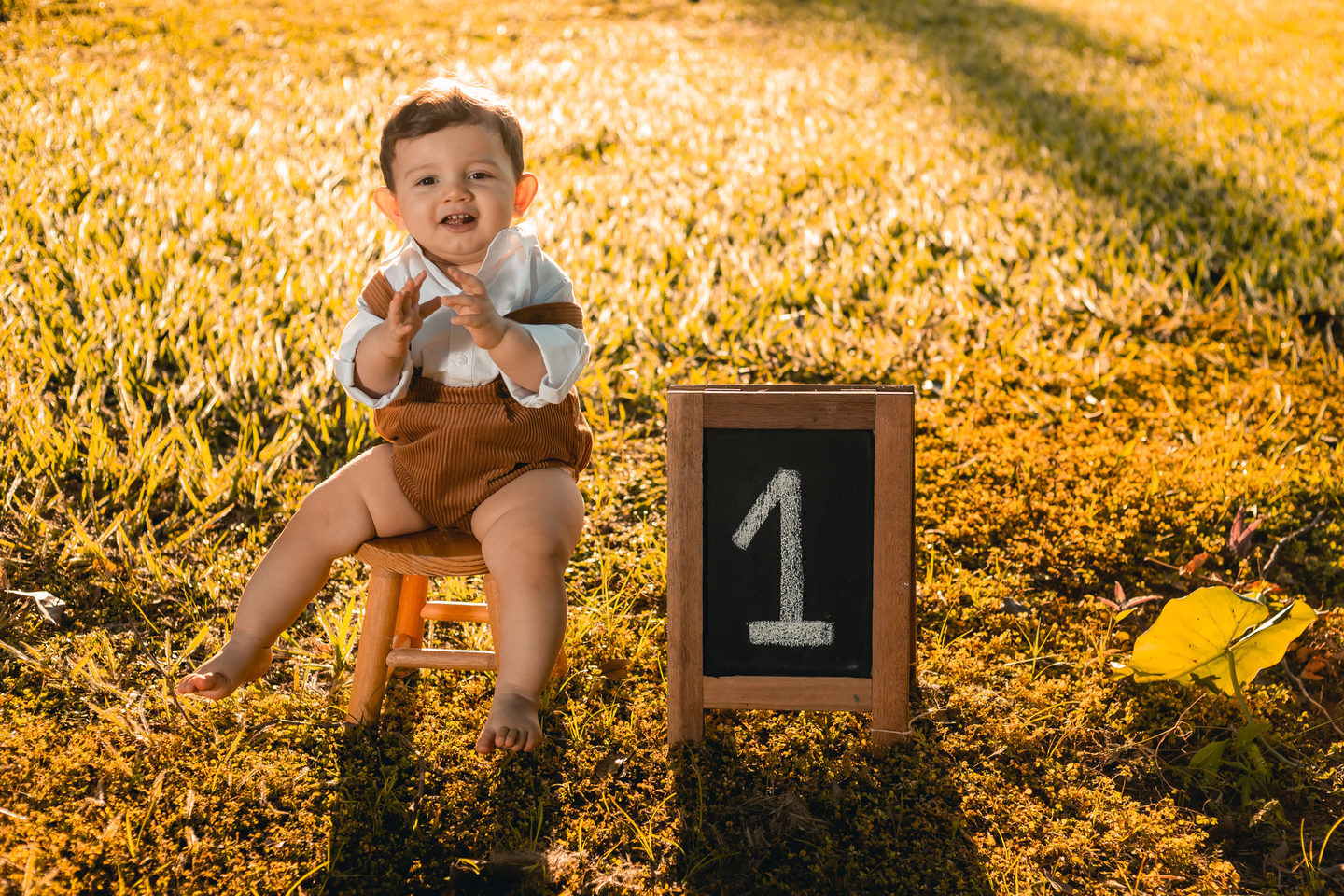 Francisco | ensaio 1 aninho Francisco | ensaio 1 aninho